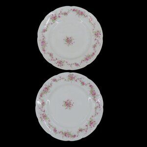 VTG Bassett Limoges 2 Plates 9.6in Pink Floral Flower Swag Chic Austria Chic